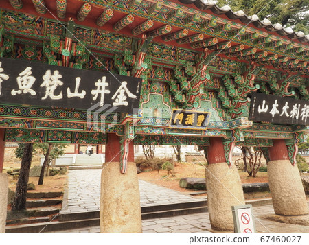 梵魚寺波摩薩 梵魚寺波摩薩 67460027