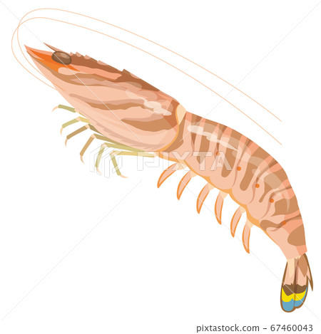 大蝦 大蝦 67460043