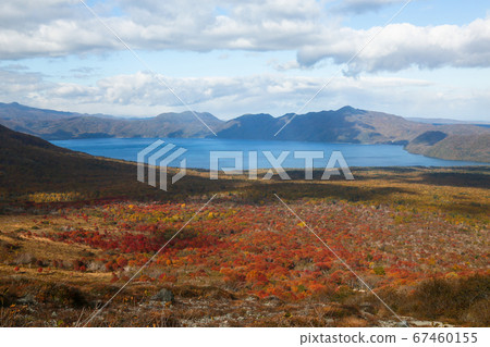 Autumn in Hokkaido, Chitose City, Autumn leaves overlooking Lake Shikotsu from Mt. Tarumae 67460155