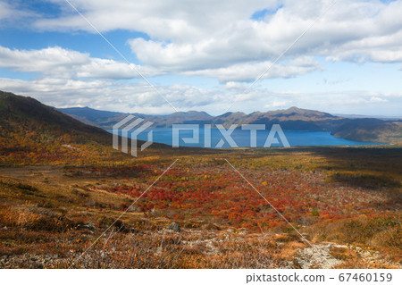 Autumn in Hokkaido, Chitose City, Autumn leaves overlooking Lake Shikotsu from Mt. Tarumae 67460159