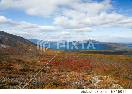 Autumn in Hokkaido, Chitose City, Autumn leaves overlooking Lake Shikotsu from Mt. Tarumae Autumn in Hokkaido, Chitose City, Autumn leaves overlooking Lake Shikotsu from Mt. Tarumae 67460163