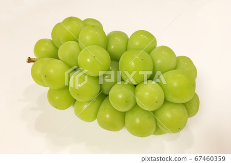 Shine Muscat Shine Muscat 67460359
