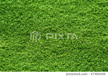 Lawn Lawn 67460489