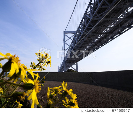 天空,宇宙和火影忍者海峽大橋 天空,宇宙和火影忍者海峽大橋 67460947