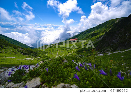 藍天和高山 藍天和高山 67460952