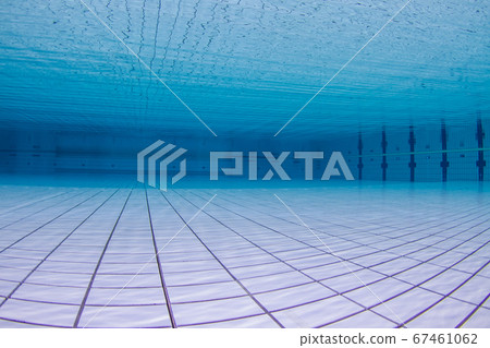 Indoor pool for competitions 67461062