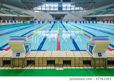 室內比賽游泳池 67461065
