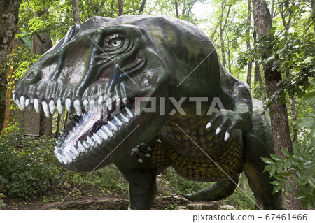 Jurassic Park in Safari park of the city Gelendzhik, Krasnodar region, Russia 67461466