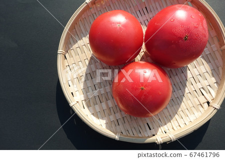 Tomato   67461796