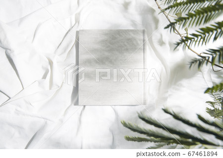 Photo album with white cloth reflecting natural light and shadows of leaves 67461894