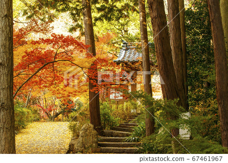 A place famous for the autumn leaves of Kyoto, Shinzo-ji, Kameoka sightseeing spot in Kyoto, related to Mitsuhide Akechi 67461967