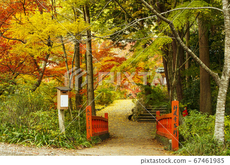 A place famous for the autumn leaves of Kyoto, Shinzo-ji, Kameoka sightseeing spot in Kyoto, related to Mitsuhide Akechi A place famous for the autumn leaves of Kyoto, Shinzo-ji, Kameoka sightseeing spot in Kyoto, related to Mitsuhide Akechi 67461985