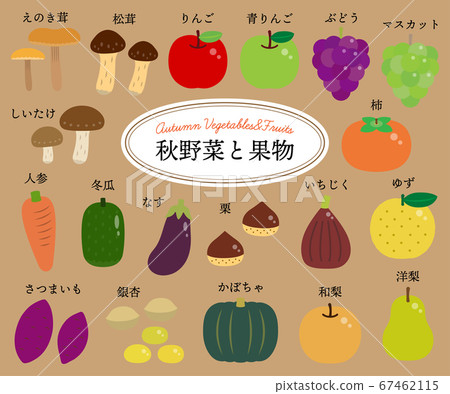 Autumn Vegetables And Fruits Set No Main Line Stock Illustration