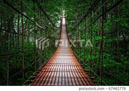 suspension bridge 67462776