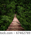 Suspension bridge 67462789