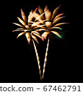 Beautiful colorful fireworks with night sky 67462791