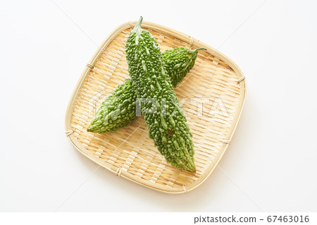 Fresh bitter gourd placed in a colander Fresh bitter gourd placed in a colander 67463016