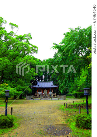 Fushimi-ku, Kyoto, World Heritage (Daigo-ji) scenery, Fudodo, summer-colored Daigo-ji Temple scenery [July] 67464540