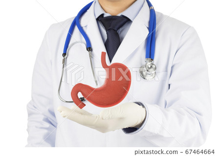 stomach, doctor, x-ray 67464664