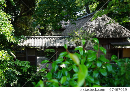 Old houses Old houses 67467019