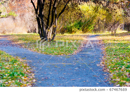 path way with two direction, life choice concept 67467689