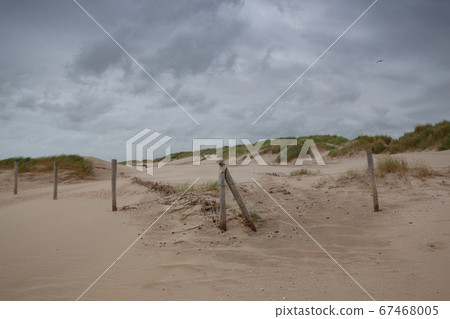 The beach in Hargen aan Zee in Netherlands 67468005