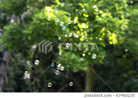 Green park outdoor background with soap bubbles in the air, fun activities for family outdoor. Summer time. Green park outdoor background with soap bubbles in the air, fun activities for family outdoor. Summer time. 67468220