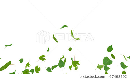 Green green ecology wind flying leaves 3D illustration CG background background Green green ecology wind flying leaves 3D illustration CG background background 67468592