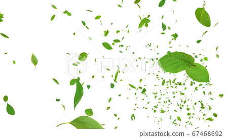 Green green ecology wind flying leaves 3D illustration CG background background 67468692