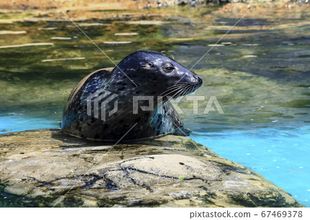 Seoul National University Park 67469378