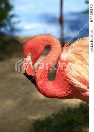 Seoul National University Park 67469379