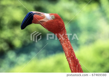 Seoul National University Park 67469380