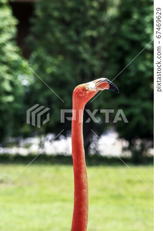 Seoul National University Park Seoul National University Park 67469629