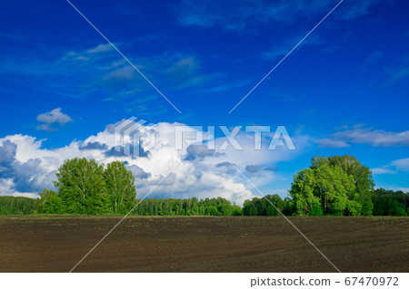 prepared for sowing farm field, spring vivid 67470972