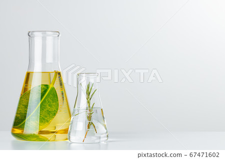 Plants in laboratory glassware. Skincare products and drugs chemical researches concept 67471602