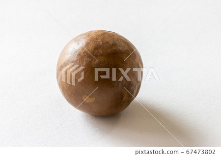 Macadamia nut with shell 67473802