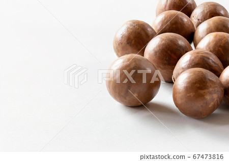 Macadamia nuts with shells 67473816