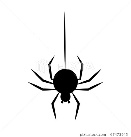 Black spider hanging on a thread. Halloween Black spider hanging on a thread. Halloween 67473945