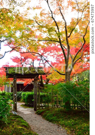 世博會70紀念公園（森里安的干燥景觀水） 67473997