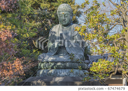 [東京，柳中]在柳中七天神的天王寺中，天井法華宗佛教的青銅釋迦牟尼佛坐像。 67474679