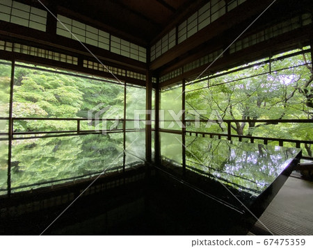 The maple of Rurikoin, Sakyo-ku, Kyoto The maple of Rurikoin, Sakyo-ku, Kyoto 67475359
