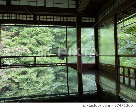 The maple of Rurikoin, Sakyo-ku, Kyoto The maple of Rurikoin, Sakyo-ku, Kyoto 67475360