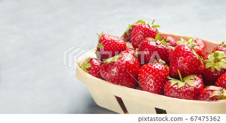 fresh strawberries in a basket, red berry, only from a garden bed. sweet harvest fresh strawberries in a basket, red berry, only from a garden bed. sweet harvest 67475362