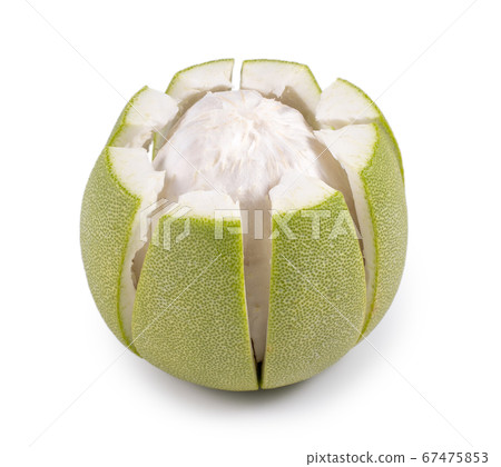 Pomelo mid-autumn festival white background go back pomelo isolated clipping path 切り抜き 67475853