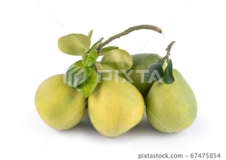 Pomelo mid-autumn festival white background go back pomelo isolated clipping path 切り抜き 67475854