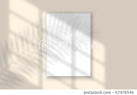 Window and Leaf Realistic Shadow Mock Up Template. Tropical leaf and light from window overlay mockup for social media, banners and advertising. Window and Leaf Realistic Shadow Mock Up Template. Tropical leaf and light from window overlay mockup for social media, banners and advertising. 67476546