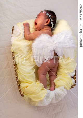 Newborn Photo 67476802