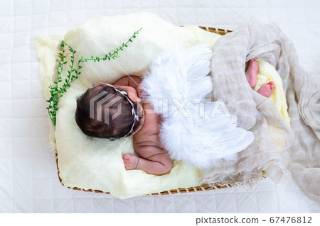 Newborn Photo 67476812