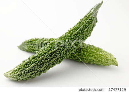 Bitter gourd white background white background Bitter gourd white background white background 67477129