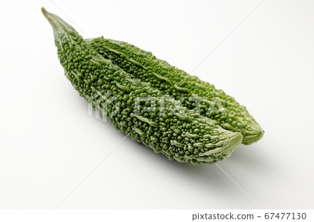 Bitter gourd white background white background Bitter gourd white background white background 67477130